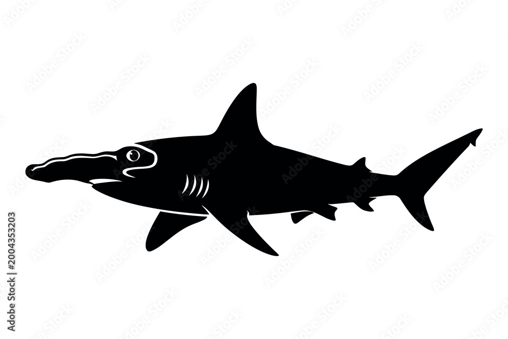 Obraz premium Hammerhead shark silhouette a striking black profile against a white background