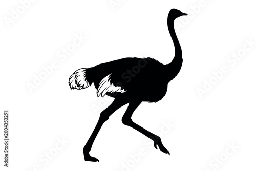Bild auf Leinwand Ostrich silhouette a striking black outline of the large flightless bird in a mi