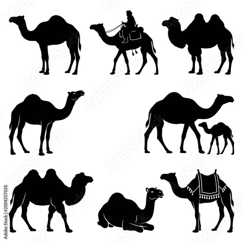  black and white vector silhouette set of camel