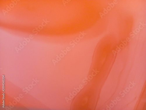 Abstract close-up featuring soft orange gradient with smooth blur and subtle organic shapes. Minimal and modern background suitable for design, branding, presentations, and digital artwork. 