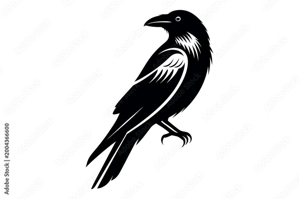 Obraz premium Elegant crow silhouette a detailed black and white illustration of a perched bird