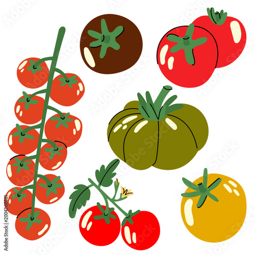 Tomato collection with cherry tomatoes, yellow tomatoes and fresh vegetables in flat vector style. Perfect for organic food, gardening, cooking and agriculture design.
