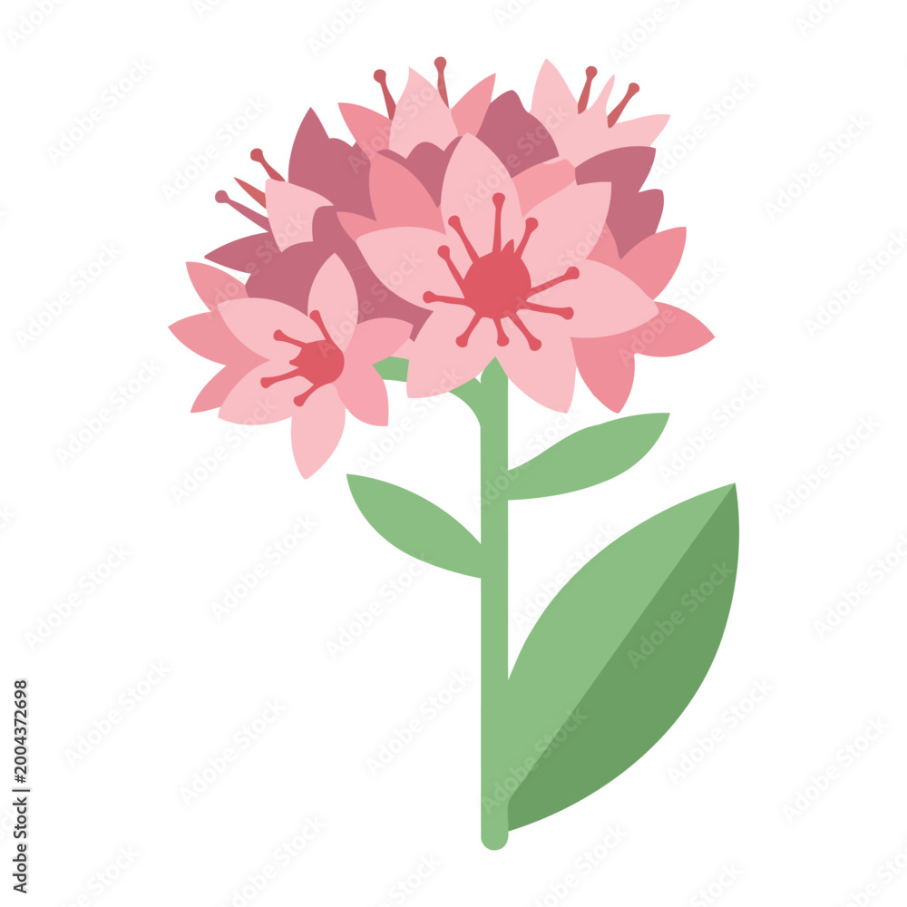 Fototapeta premium Pink Flower with Green Leaves floral isolated cutout