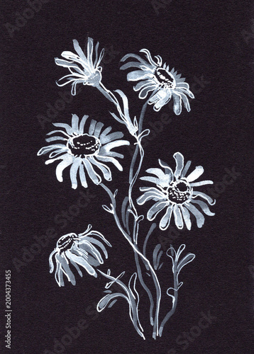 Hand-drawn bouquet of chamomile flowers illustrated in white on a dark textured background. Minimal botanical sketch with delicate petals and stems in a vintage natural style
