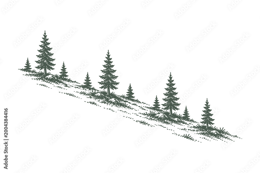 Obraz premium Pine Trees on a Sloping Hillside Composition, Hand Drawn Sketch Line Art Vector Illustration, Evergreen Forest Elements for Winter or Mountain Graphics.
