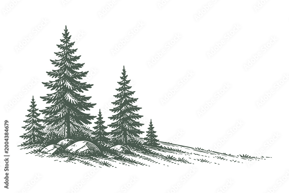 Obraz premium Group of Three Tall Pine Trees on Sloping Ground, Hand Drawn Line Art Style Vector Illustration, Mountain Forest Composition for Outdoor Theme Design.