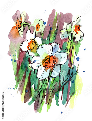 Hand-painted watercolor daffodils with loose expressive brushstrokes, vibrant spring flowers on white background, artistic floral illustration for greeting cards