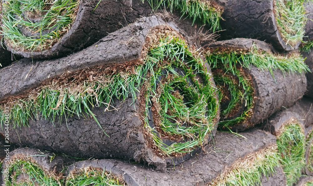 Naklejka premium Rolled turf grass ready for lawn installation – landscaping concept