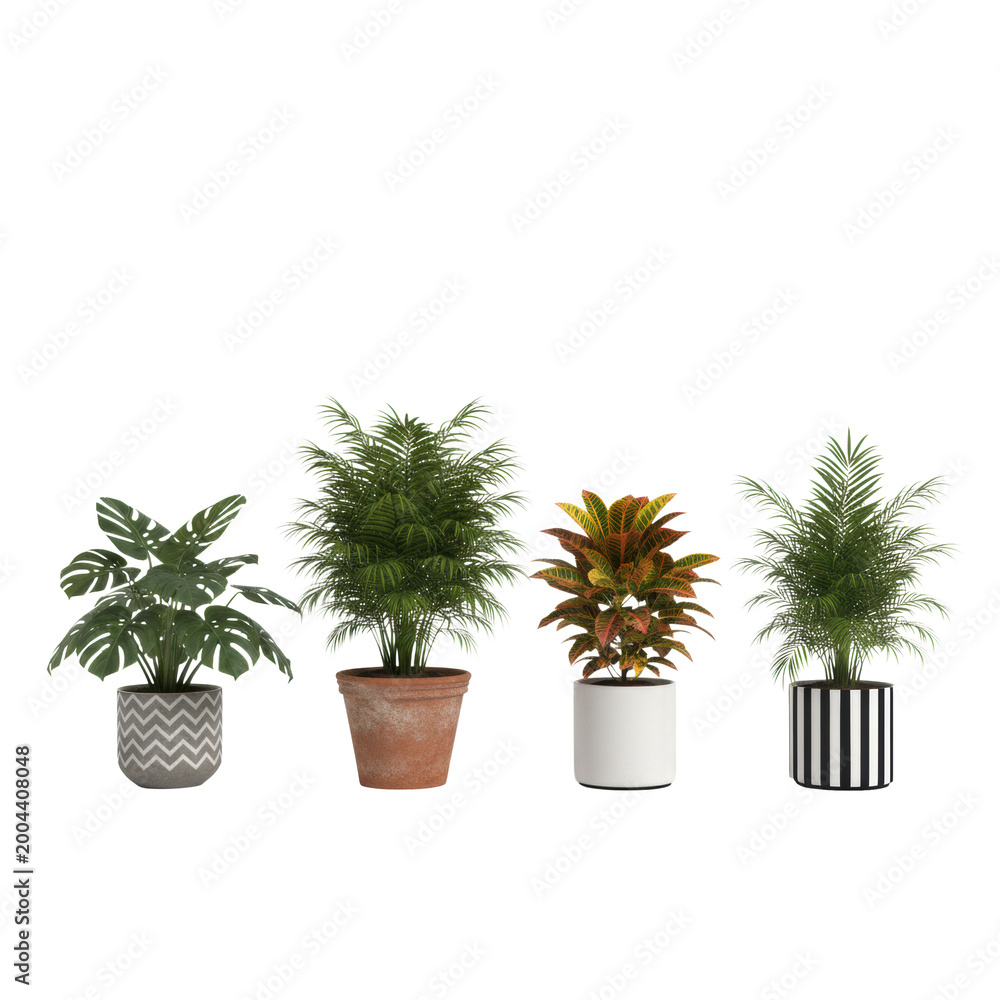 Fototapeta premium Four diverse houseplants in decorative ceramic and terracotta pots arranged in a line against a white studio background with soft shadows modern botanical aesthetic