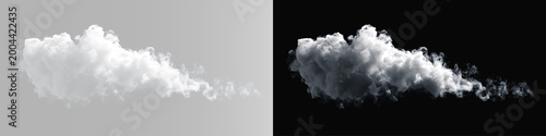 Tableau sur toile Realistic white smoke cloud set, atmospheric puff of steam or thick fog on grey