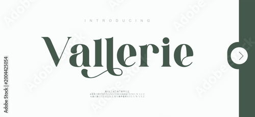 Obraz na plátně Vallerie, Beauty fashion luxury classic letters serif fonts decorative wedding vintage retro logos