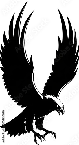 Black eagle silhouette in flight.