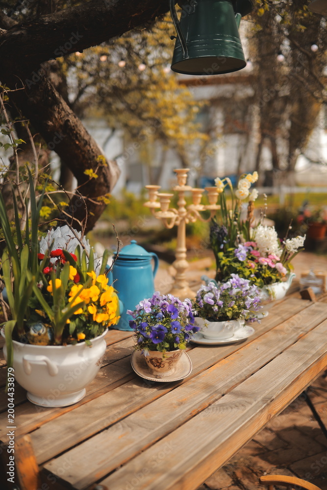 Fototapeta premium flowers in the garden