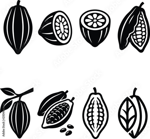 Cocoa pods and cacao fruit illustrations in black and white