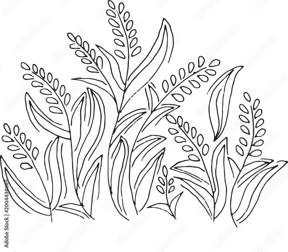 Fototapeta premium Hand Drawn Floral Line Art – Botanical Flower Outline Illustration