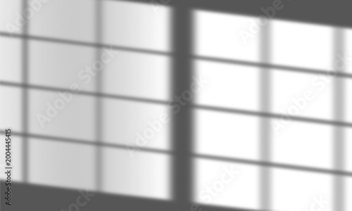 Double Window Panel Grid Shadow Overlay on Transparent Background Isolated 