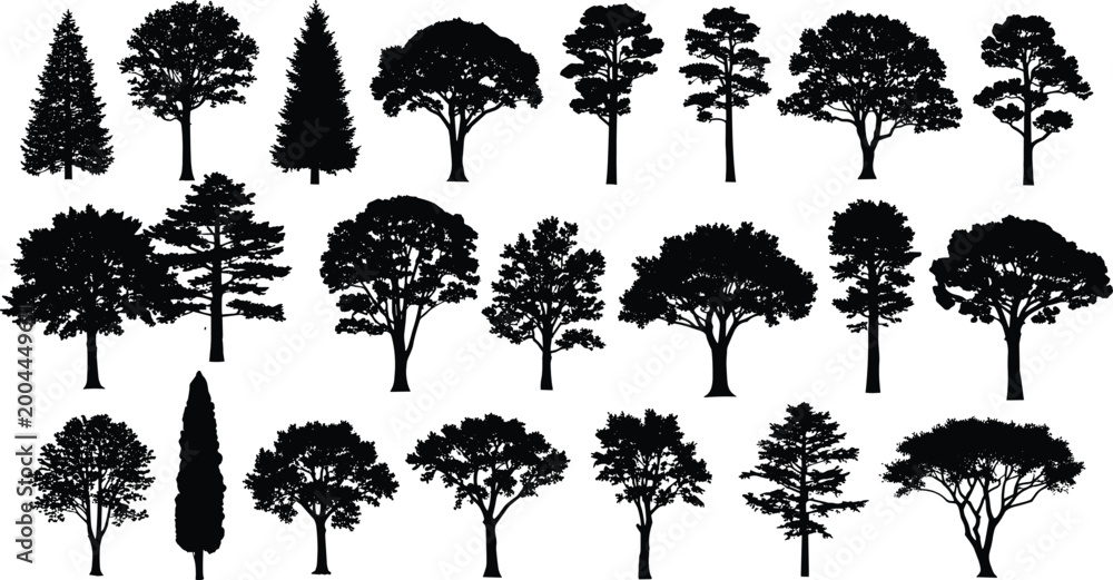 Fototapeta premium Collection of various tree silhouettes isolated on white background diverse forest and garden plant shapes set