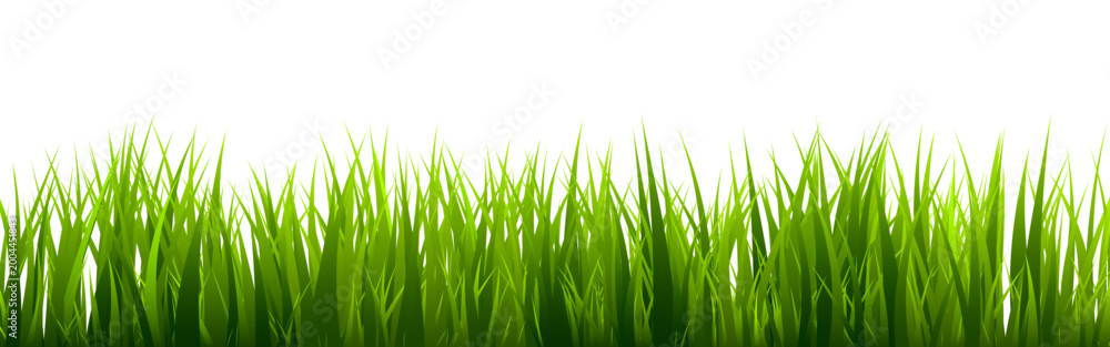 Fototapeta premium Meadow silhouette with green grass, plants on plain. Panoramic summer lawn landscape with herbs, various weeds. Herbal border, frame element. Black horizontal banners. Vector illustration