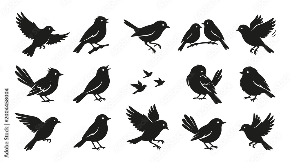Fototapeta premium Black and White Bird Silhouettes - Vector Graphics for Nature Wildlife