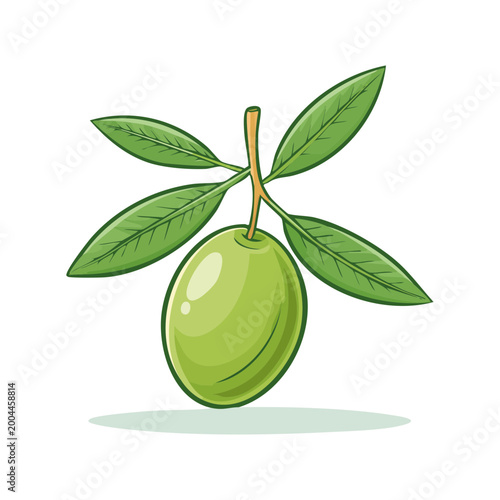 Illustration of a single green olive with leaves on a branch