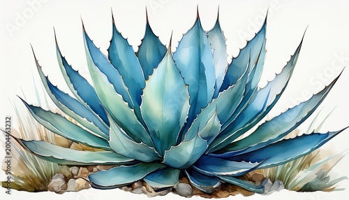 an exquisitely detailed watercolor painting showcases a vibrant blue agave plant with spines and textured leaves on a stark white background