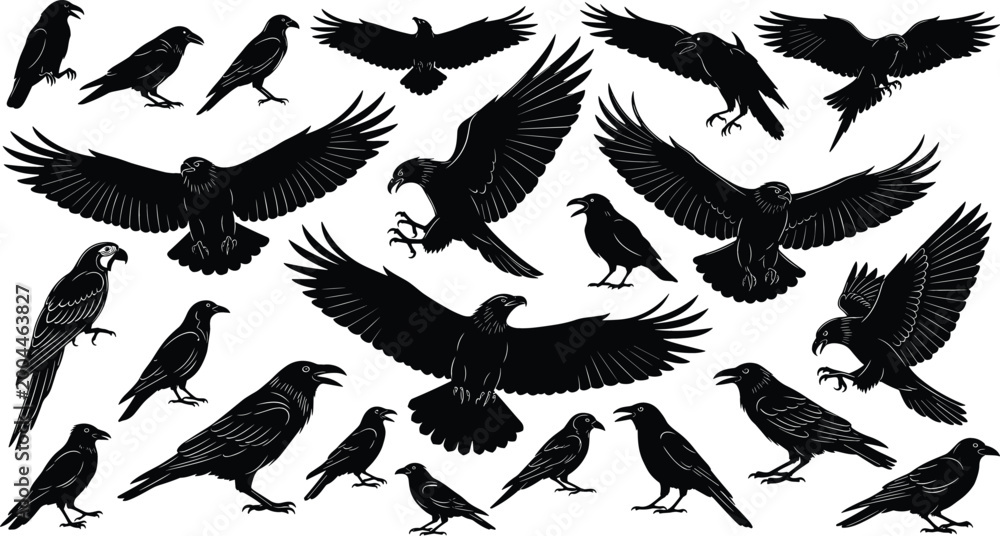 Fototapeta premium Crow and raven silhouette vector set featuring flying and perched black birds in different poses for gothic, wildlife and Halloween design projects