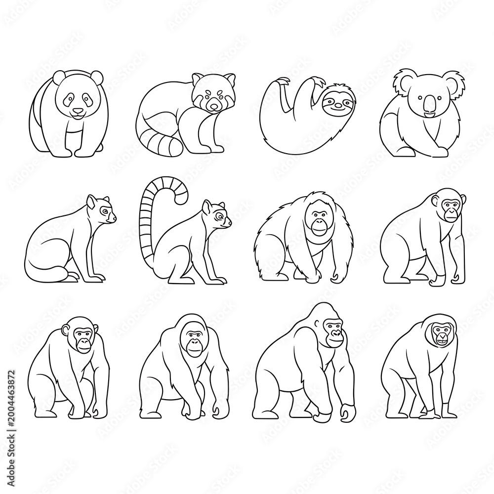 Obraz premium Various animal line drawings collection.