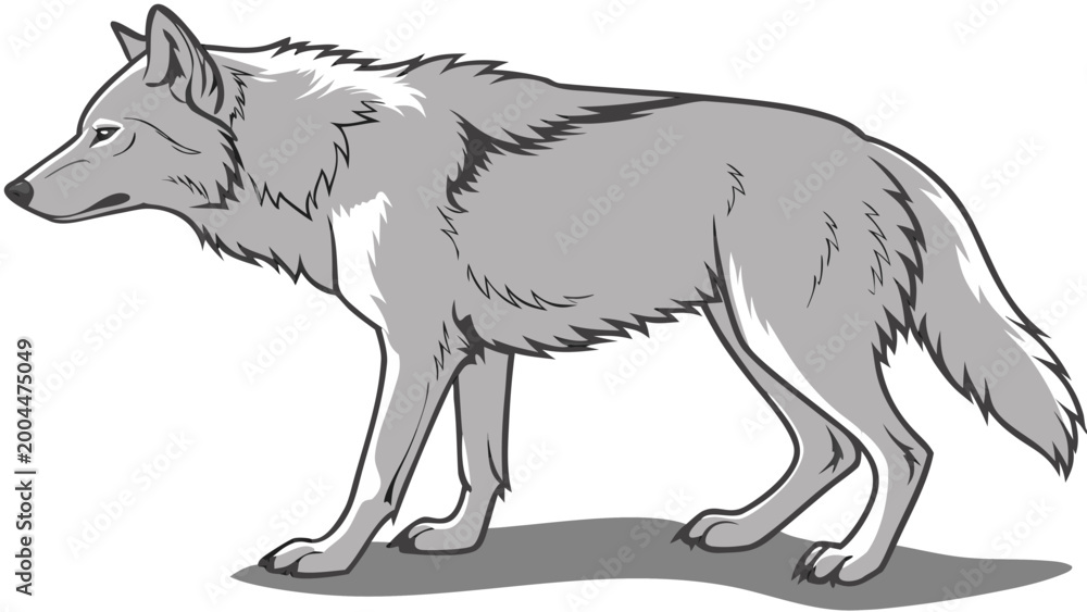 Fototapeta premium Wolf Silhouette Vector Illustration Isolated on White