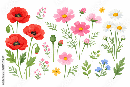 Watercolor Wildflower Set Featuring Summer Blooms with Red Poppies, Pink Cosmos, White Chamomiles, and Blue Forget-me-nots. Delicate Hand-Painted Botanical Floral Illustration Vector Elements.