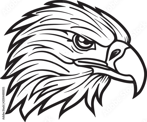 Detailed eagle head silhouette vector illustration in black and white
