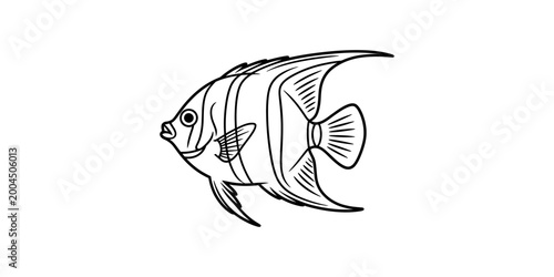 Photos Continuous single line drawing of an angelfish swimming