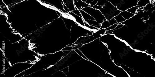 Foto Black and White Marble Veins: An intricate network of contrasting white veins sprawls across the deep black marble, creating a captivating pattern of elegance and geological artistry