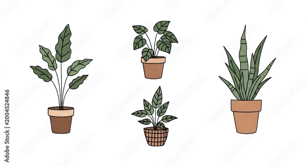Fototapeta premium Plants in Pots for Home Decor, Indoor Garden, Nature, Lifestyle, Design Concepts