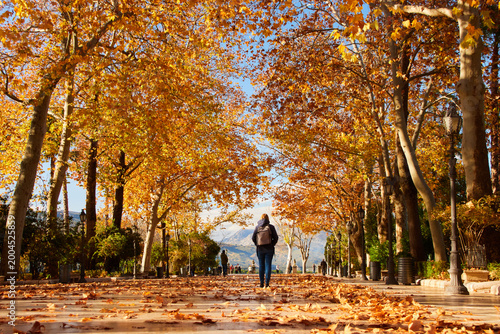 The Alameda del Tajo park in Ronda, Spain