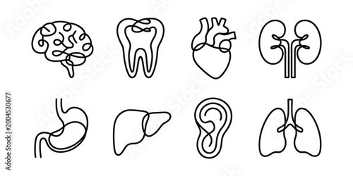 Set of human organ icons drawn in continuous single line art style