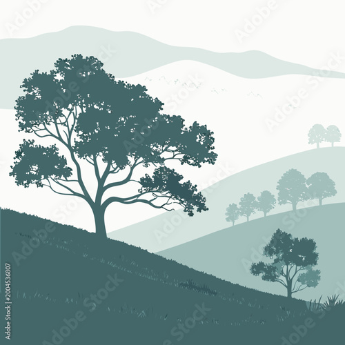 Fotografía A serene landscape with trees on rolling hills in a minimalist style with a