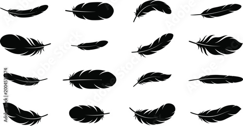 Feather silhouette pack, black bird vector, decorative nature shapes, organic illustration design, delicate clipart resource, artistic foliage art element