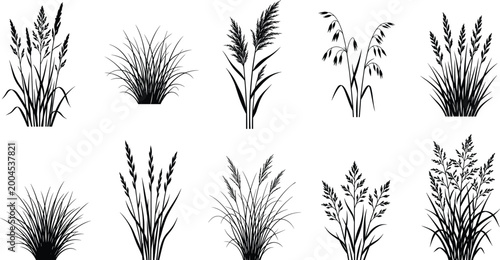Grass silhouette collection, black plant vector, decorative lawn shapes, nature illustration set, botanical foliage design, landscape clipart, organic art resource