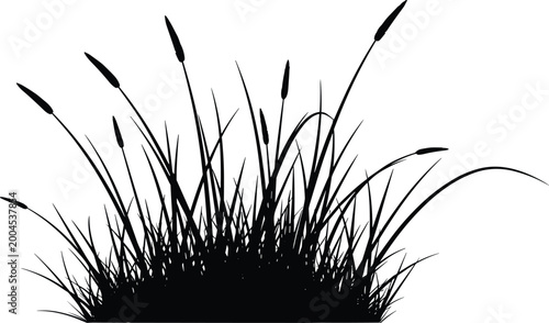 Cattail grass silhouette, wetland plant vector, black nature illustration, marsh vegetation design, decorative foliage art, landscape clipart, organic shape resource
