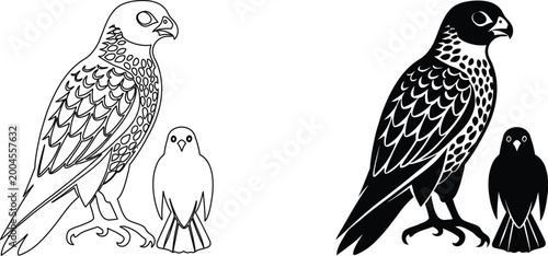 Falcon family icons featuring detailed line art and bold silhouette for avian graphic set.