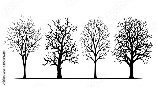 Photos Collection of distinct bare winter tree silhouettes, showcasing the stark beauty