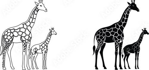 African giraffe and calf silhouettes with intricate skin pattern line art isolated on white.