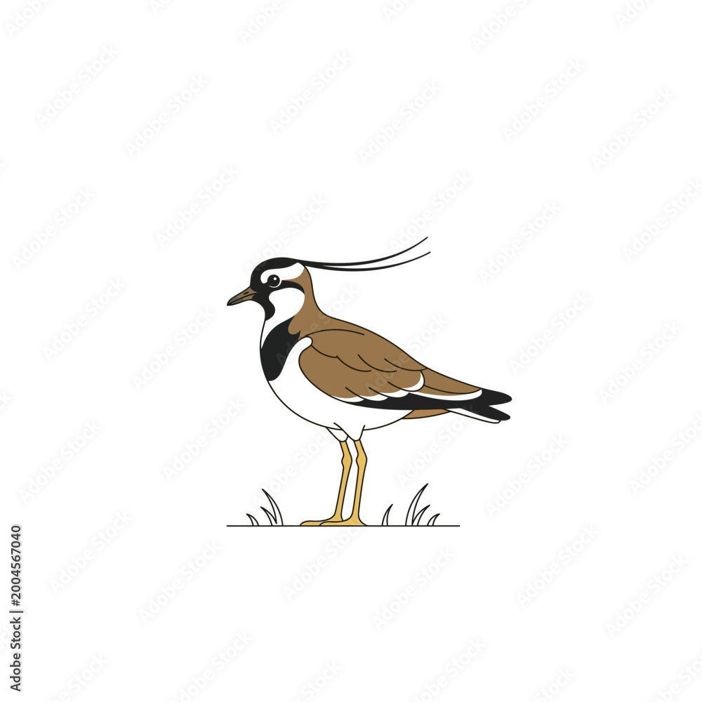 Obraz premium This image features a clean, minimal illustration of a small bird standing on the ground