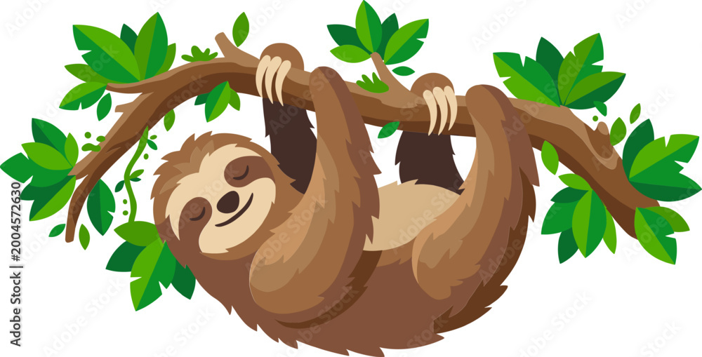 Obraz premium Sloth sleeping peacefully on tree branch with closed eyes