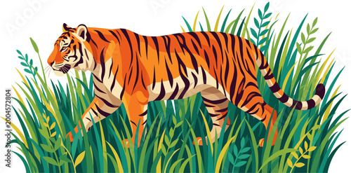 Striped tiger prowling through tall green jungle grass