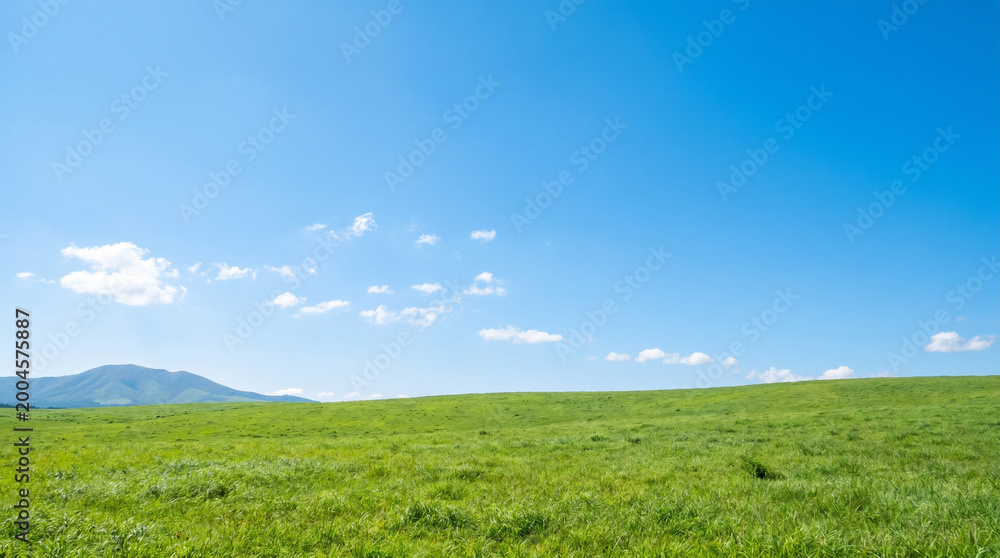 Obraz premium A serene landscape of a green field under a blue sky with distant mountains.