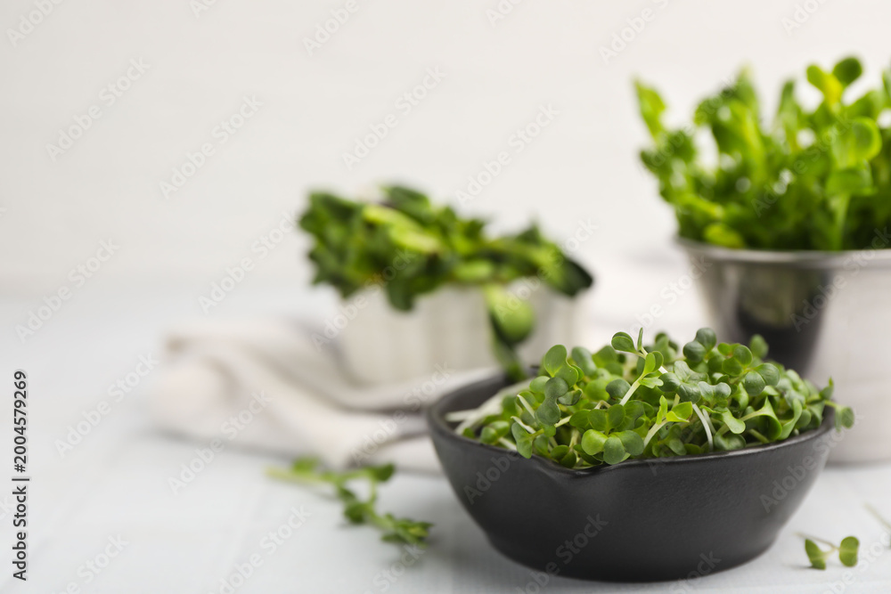 Fototapeta premium Fresh microgreens on white tiled table, closeup. Space for text