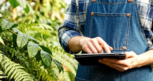Person in denim overalls using a tablet in a lush green garden setting with ferns