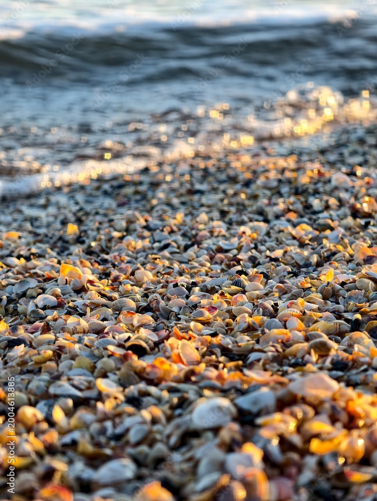 Obraz premium pebbles on the beach