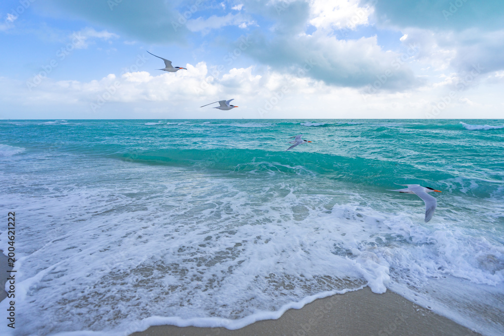 Fototapeta premium Turquoise sea water wave motion. Summer beach. Calm sea. Beauty sky and waves on beach. Beautiful foamy shoreline. Sea background. Blue ocean. Sandy ocean beach. Sea waves.